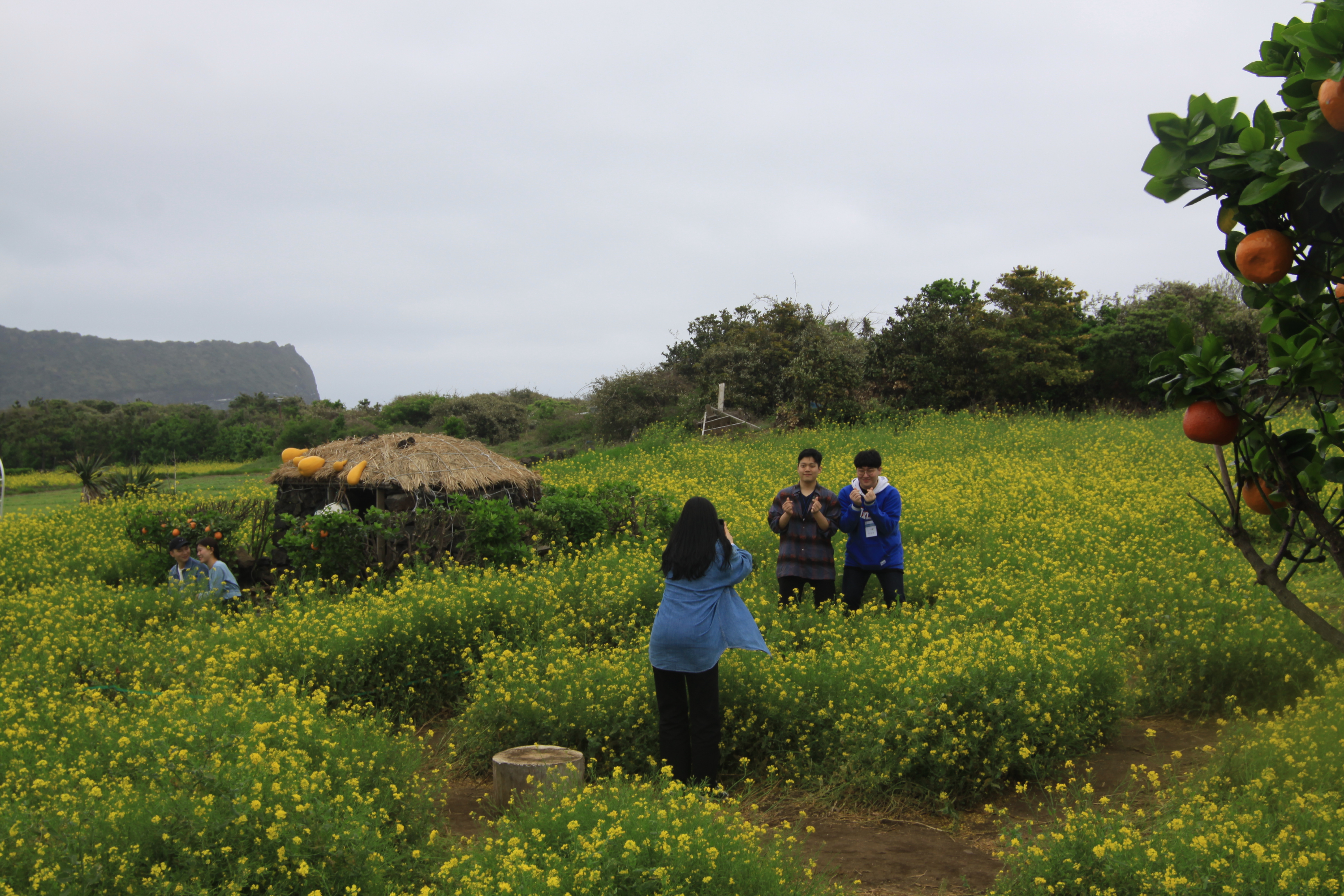 18-27...jpg 이미지