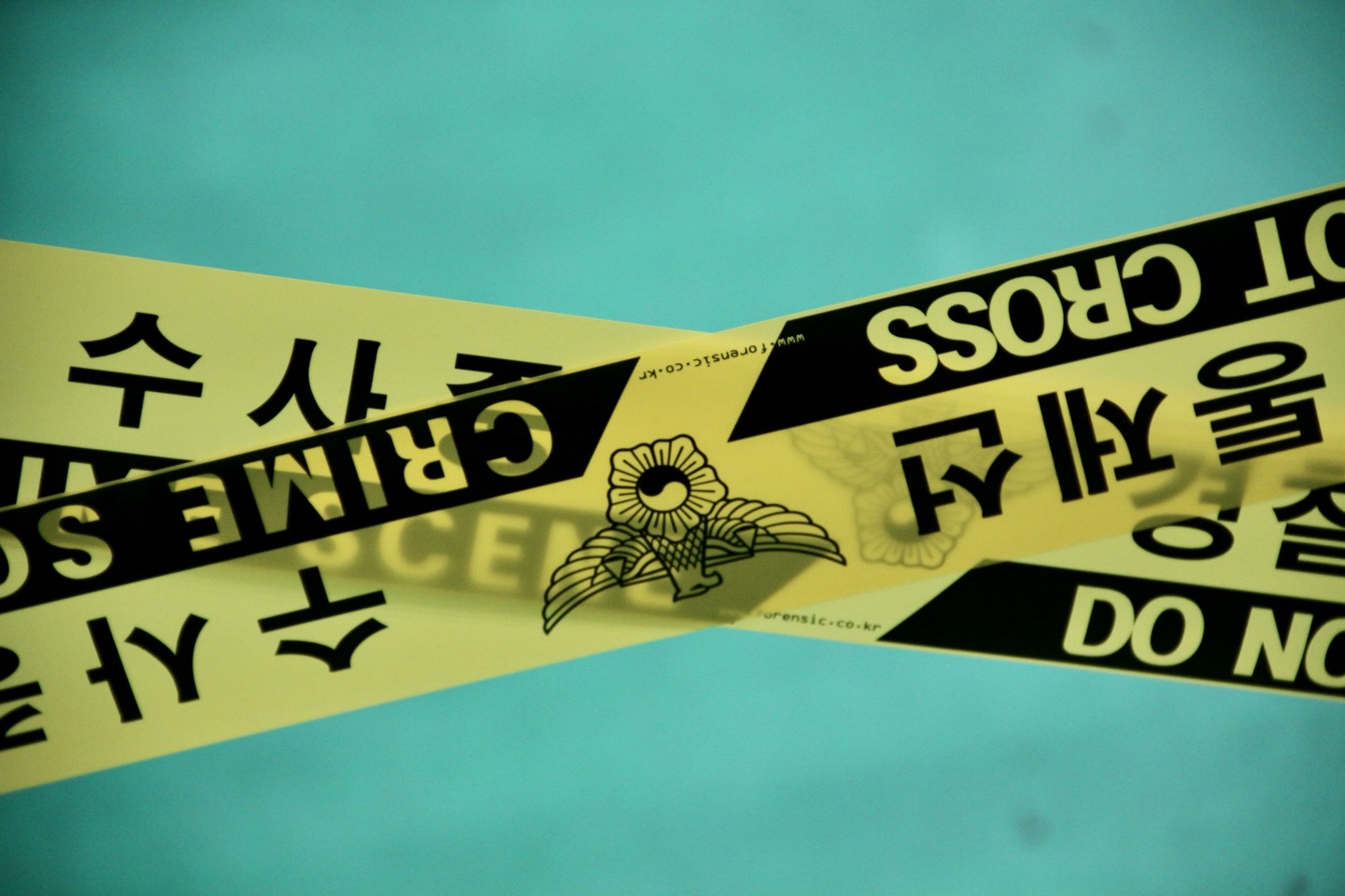 KakaoTalk_20240530_162917968_03.jpg 이미지